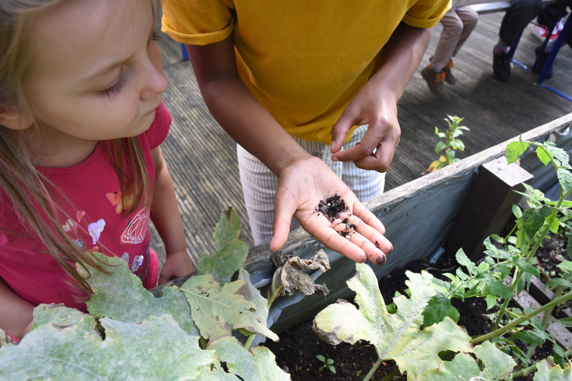 Zwei Kinder stehen vor einem Hochbeet, ein Kind blickt auf einen kleinen Haufen Erde, den das andere Kind auf der geöffneten Handfläche hält